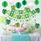 Green Birthday Party Decorations - Happy Banner with Honeycomb Balls